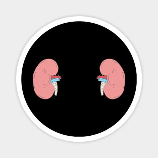 Kidney Transplant - Bean Shaped Graphic - Nephrology Magnet